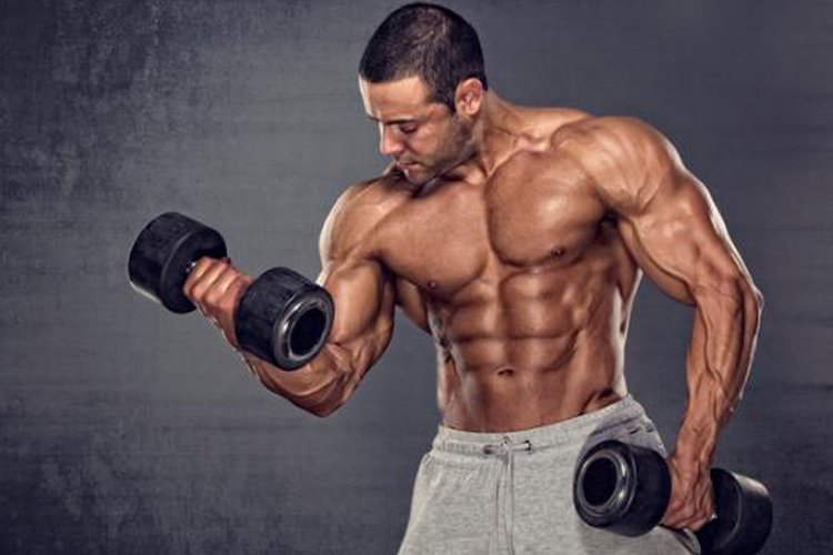 Free Bootstrap Template by uicookies.com